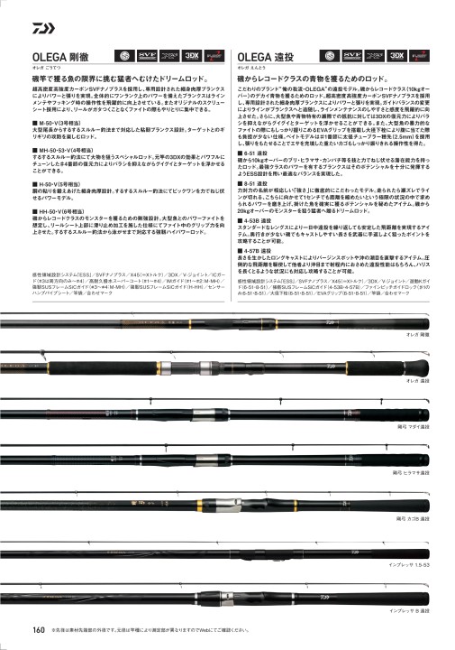 ダイワ 石鯛磯竿 竿袋付き DAIWA（釣り） ダイワ 別誂 剛心竿 武蔵 504・E ／磯竿