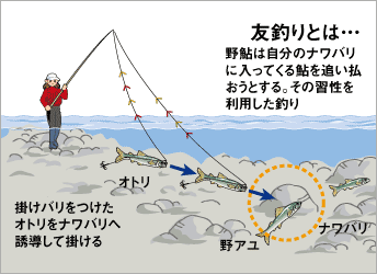 DAIWA ： TRY1 タックル＆仕掛け - Web site